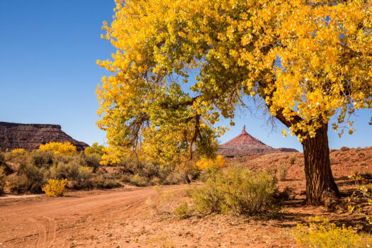 October in Moab: Events, Adventures and the Perfect Time to Explore by Jeep 1 iStock 868368954