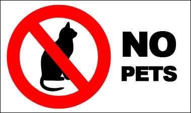 no pets